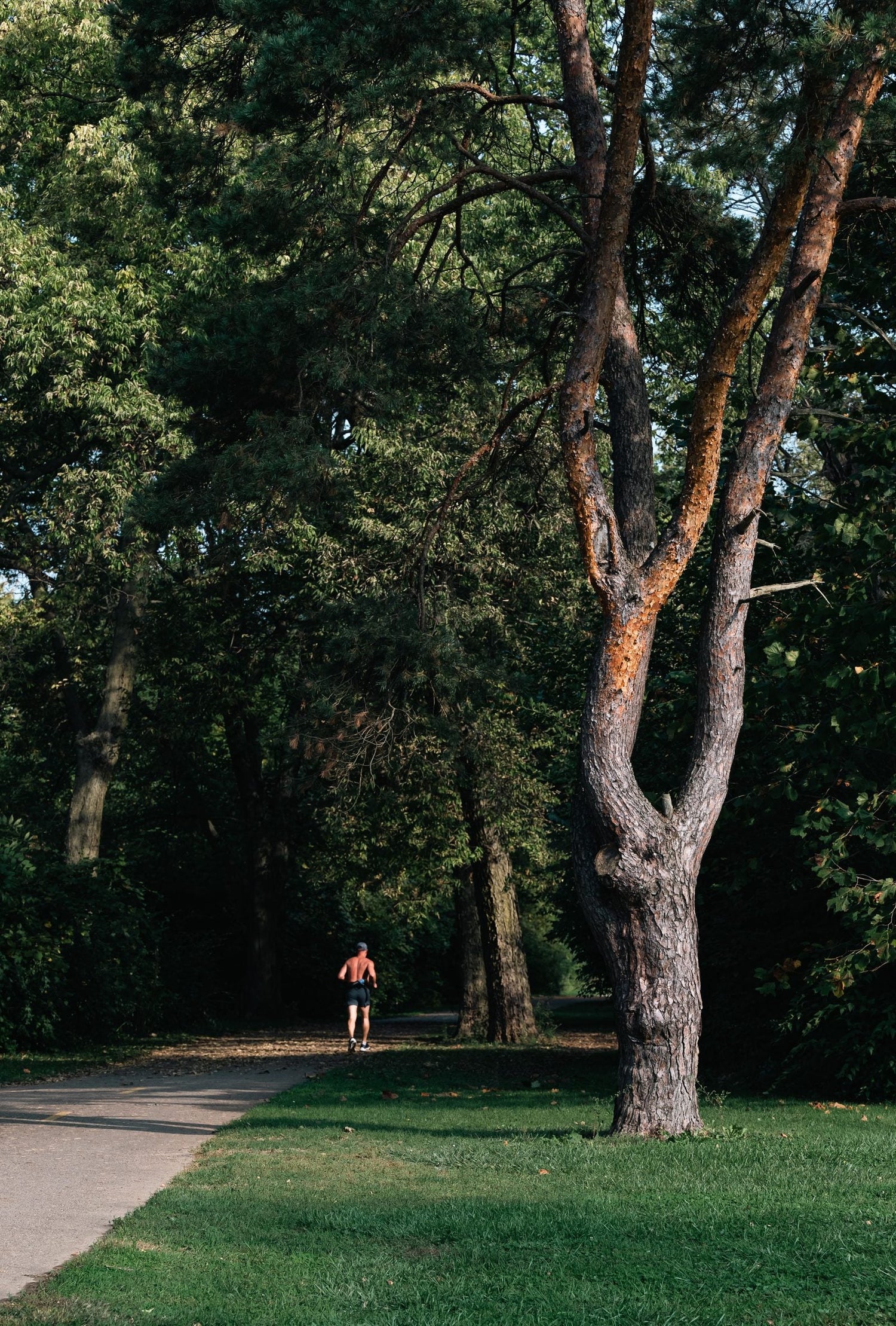 Beginner runner jogging on a sunny park path