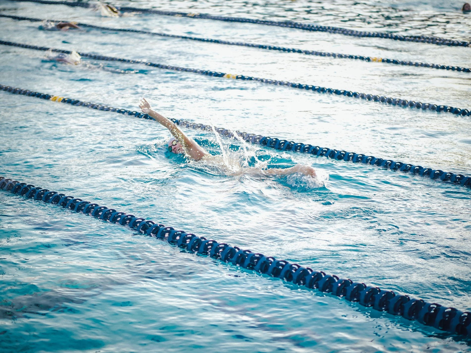 Swimmer practicing freestyle technique in a marked lap pool