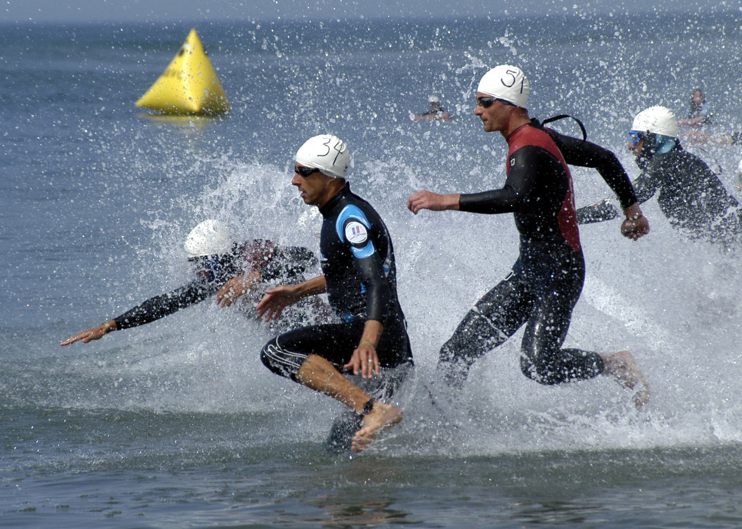 Freestyle swimmers moving through open water